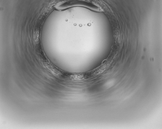 X0000060240660200511111931