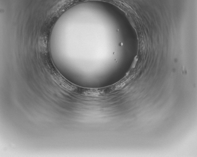 X0000060240661200511111931