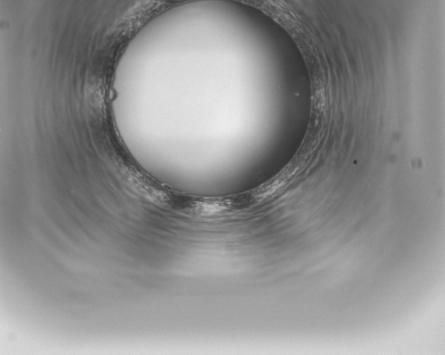 X0000060240662200511111931