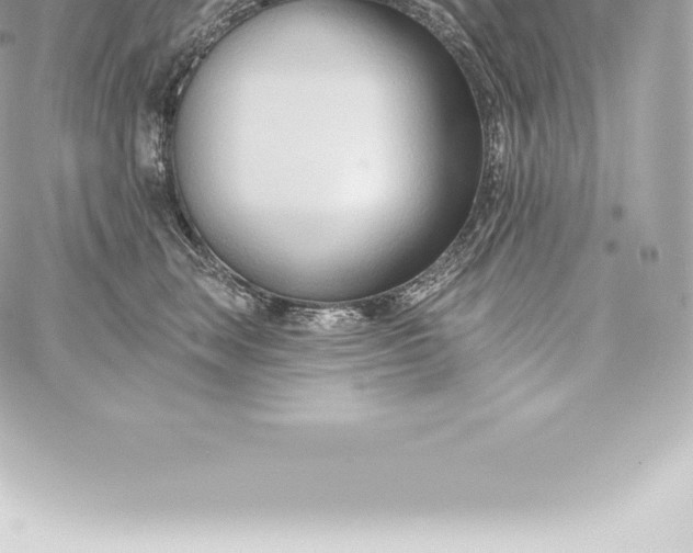 X0000060240663200511111931