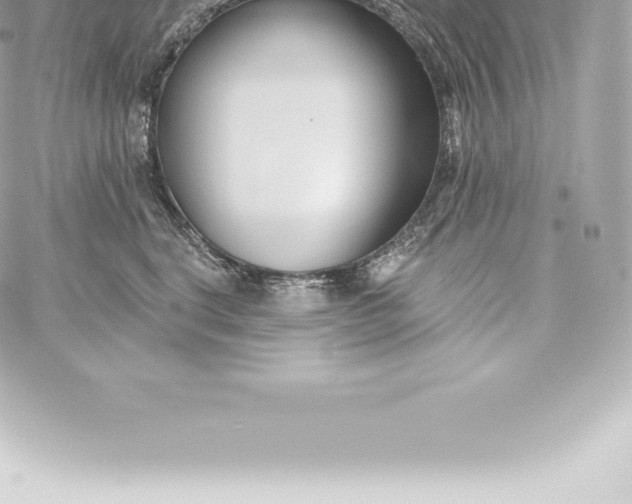 X0000060240664200511111931