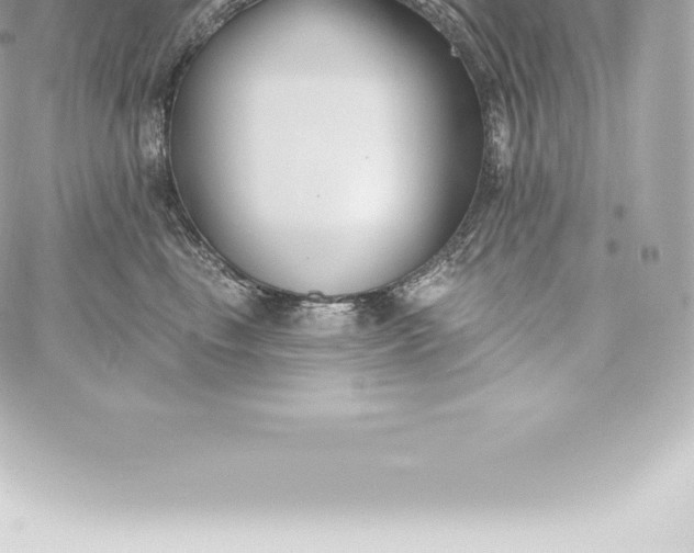 X0000060240665200511111931