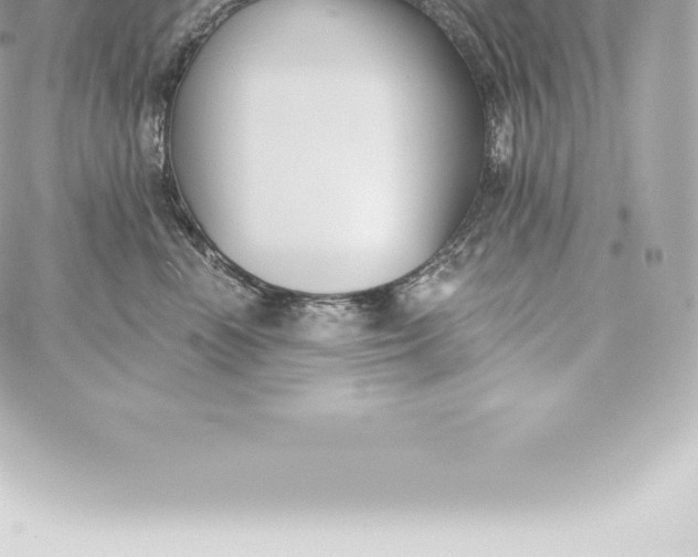 X0000060240666200511111931