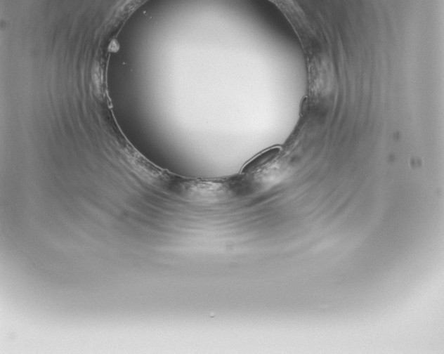 X0000060240669200511111931