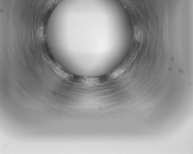 X0000060240670200511111931