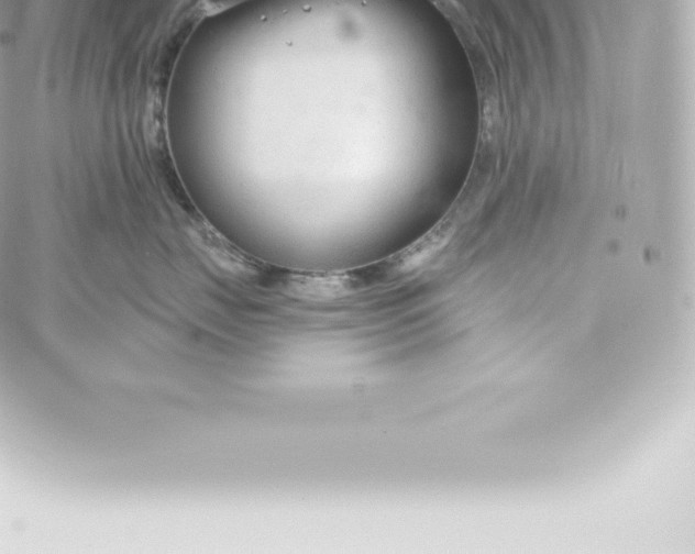 X0000060240671200511111931