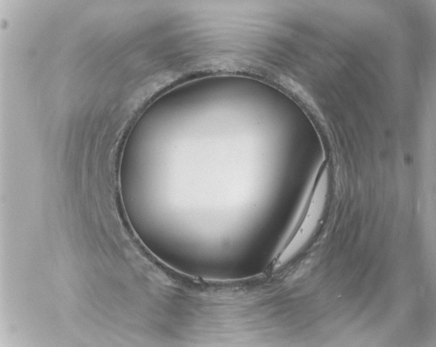 X0000060240673200511111930