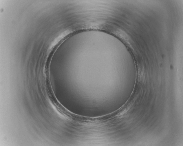 X0000060240674200511111930