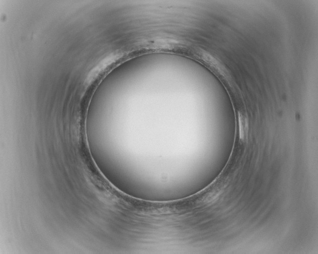 X0000060240675200511111930