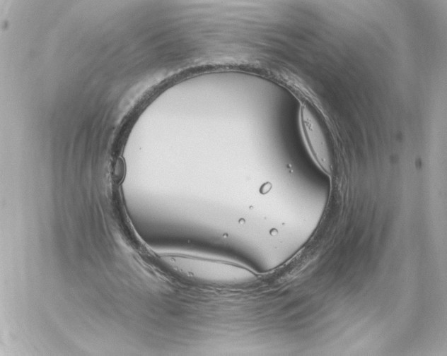 X0000060240676200511111930