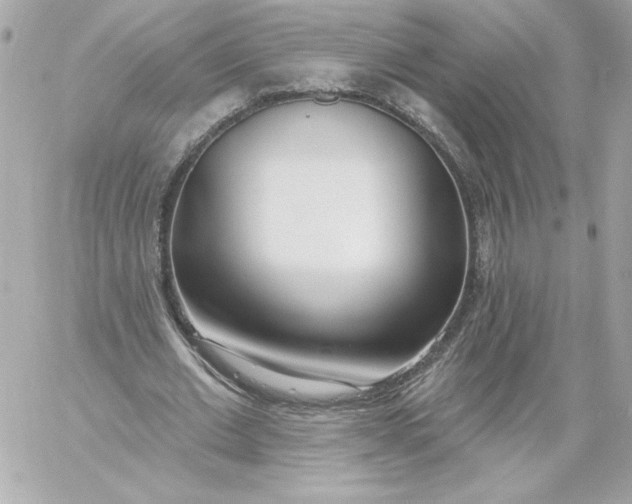 X0000060240677200511111930