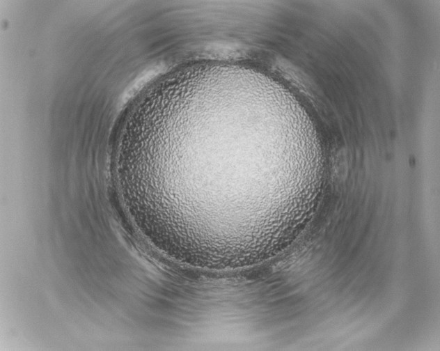 X0000060240679200511111930