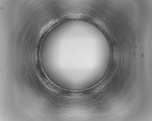 X0000060240682200511111930