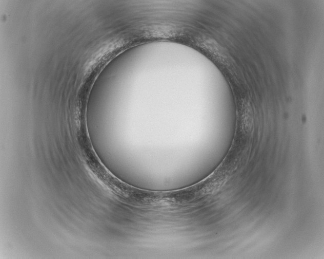 X0000060240683200511111930