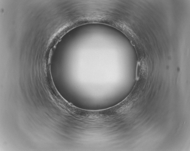 X0000060240684200511111930