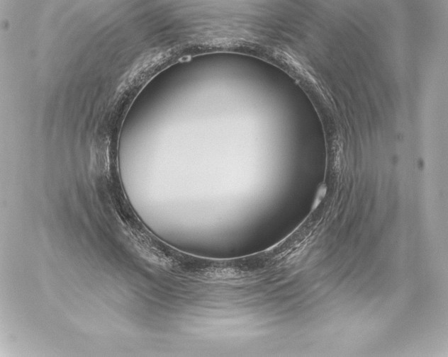 X0000060240685200511111930