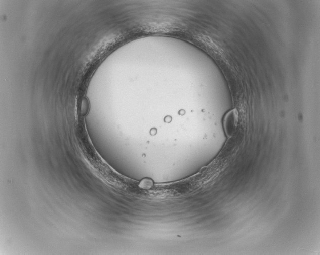 X0000060240686200511111930