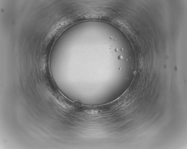 X0000060240687200511111930