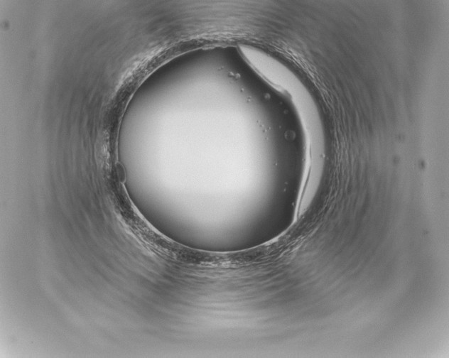 X0000060240688200511111930