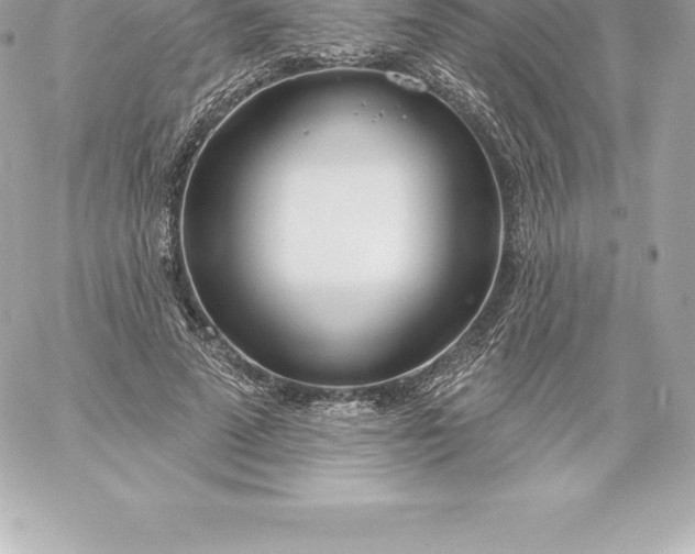 X0000060240689200511111930