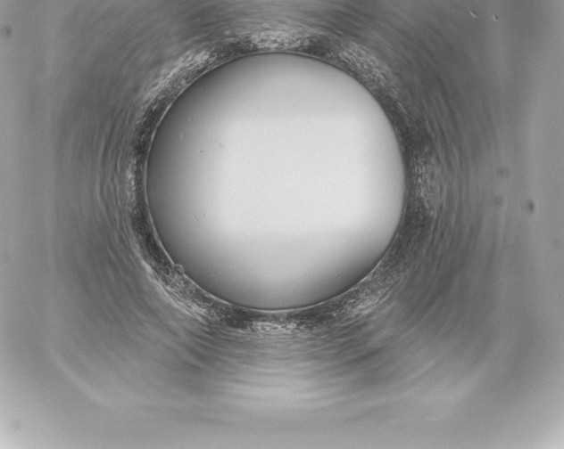 X0000060240690200511111930