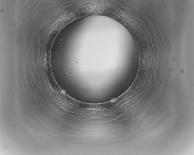 X0000060240693200511111930