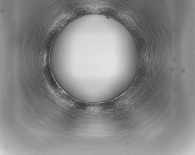 X0000060240694200511111930