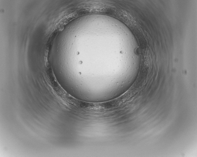 X0000060240695200511111930