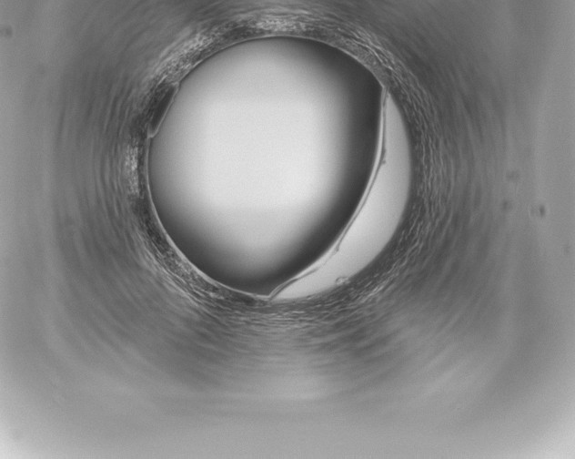 X0000060240696200511111930