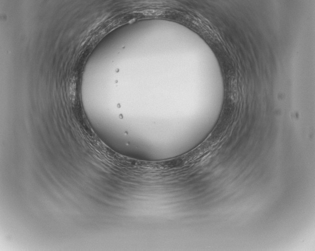 X0000060240697200511111930