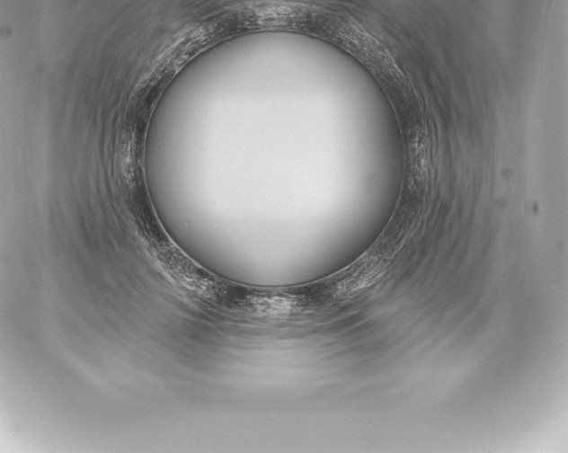 X0000060240698200511111930