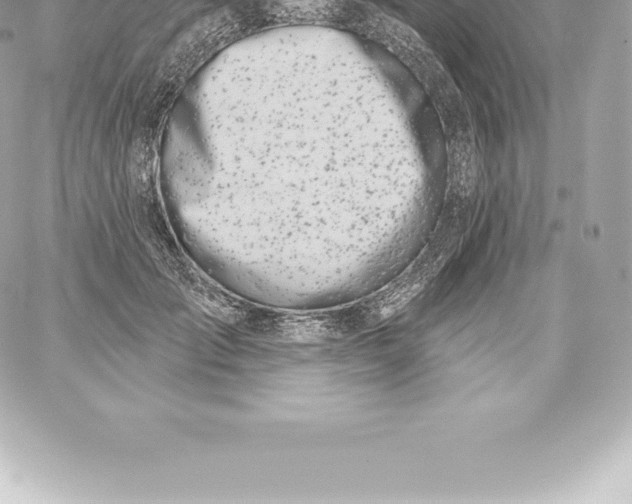 X0000060240701200511111930