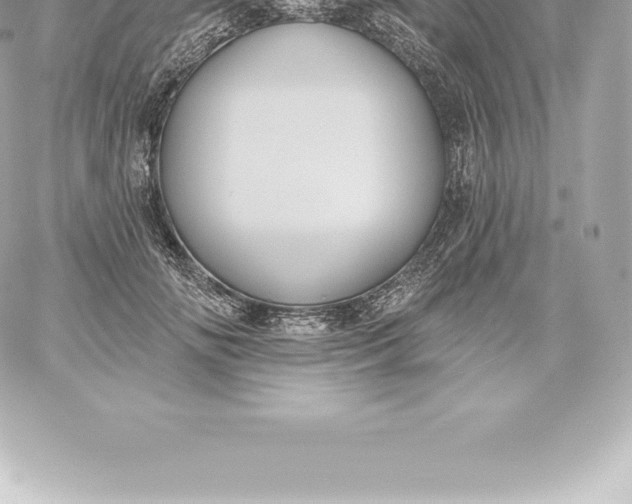 X0000060240702200511111930