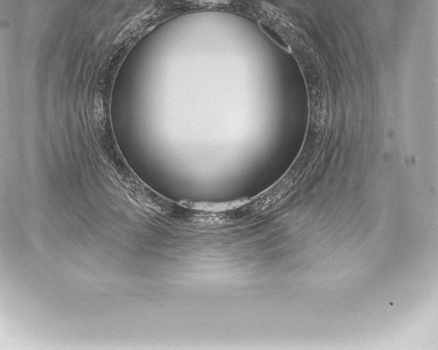 X0000060240704200511111929