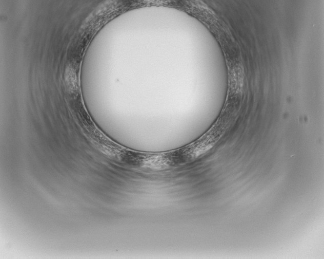 X0000060240705200511111929