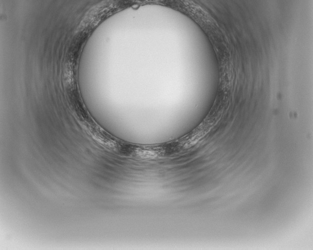 X0000060240706200511111929