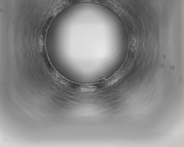 X0000060240707200511111929