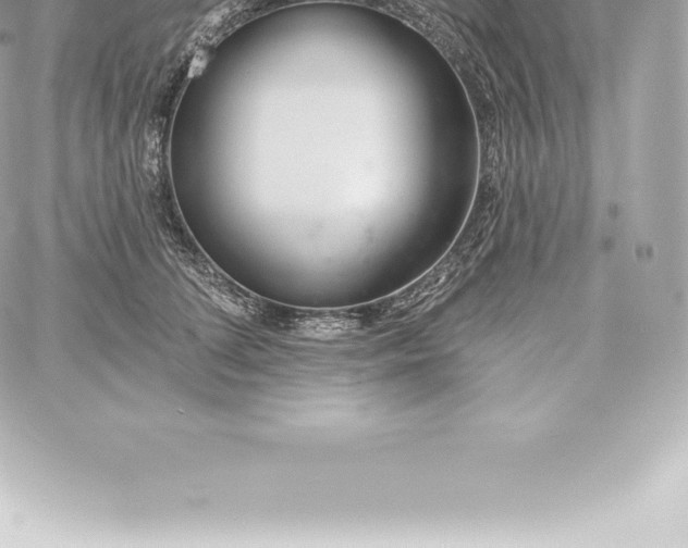 X0000060240708200511111929