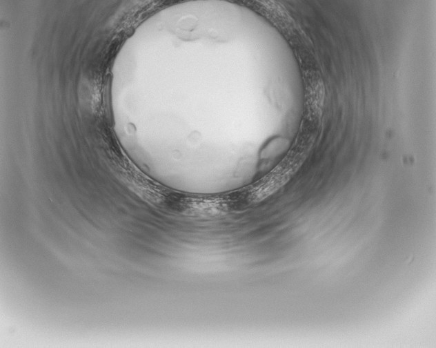 X0000060240709200511111929