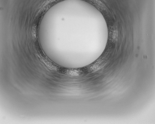 X0000060240710200511111929