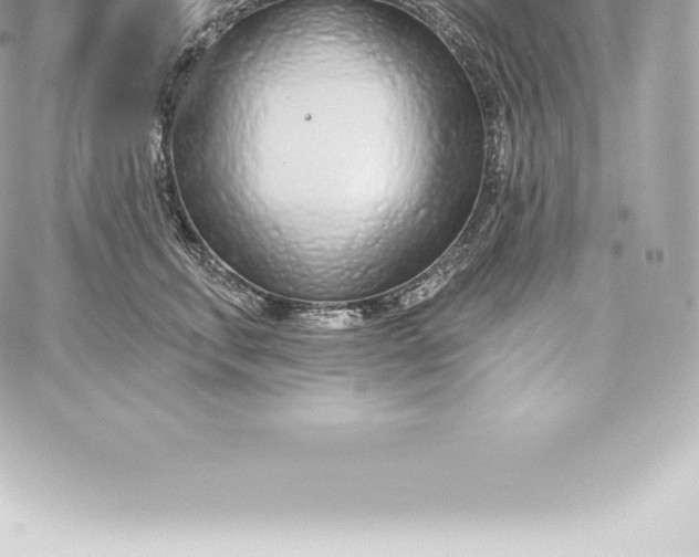 X0000060240711200511111929