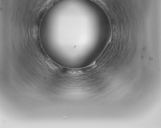 X0000060240712200511111929