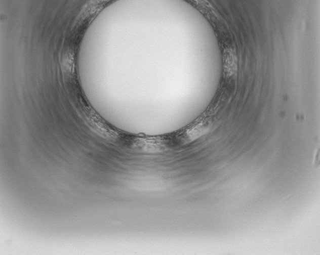 X0000060240713200511111929