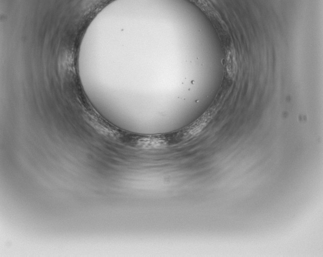 X0000060240714200511111929