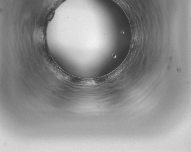 X0000060240715200511111929