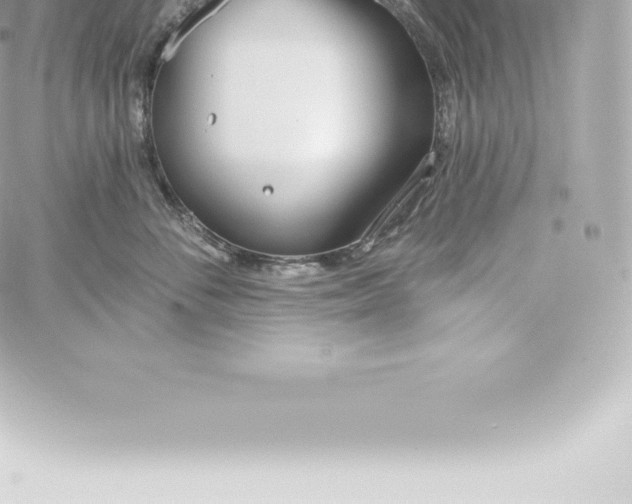 X0000060240716200511111929