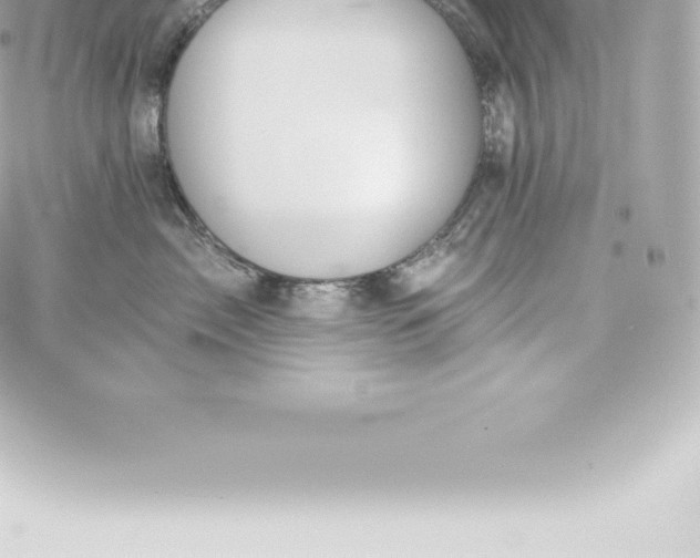 X0000060240717200511111929