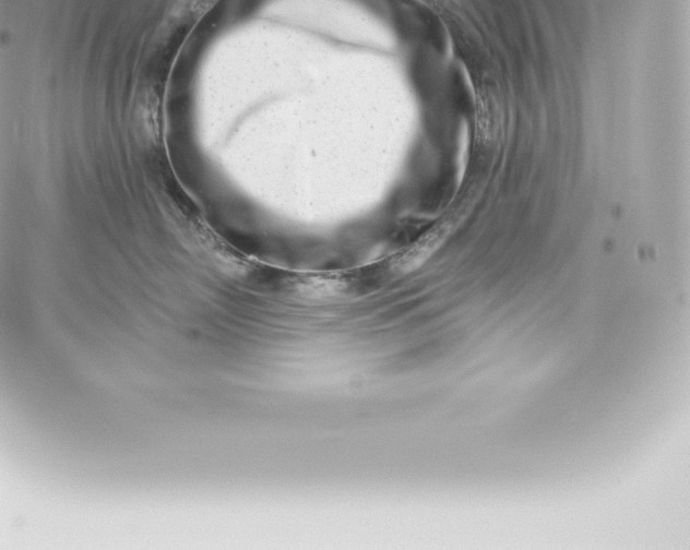 X0000060240718200511111929