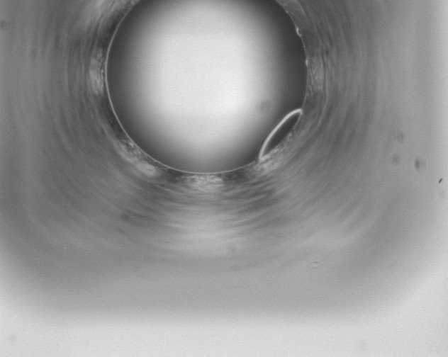 X0000060240719200511111929