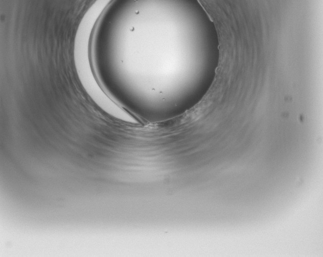 X0000060240720200511111929